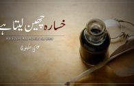 Khasarah Cheen Leta Hai By Rao Mohsin Ali Khan