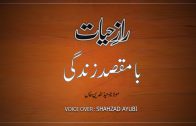 Raz-e-Hayat Ba Maqsad Zindagi By Shahzad Ayubi